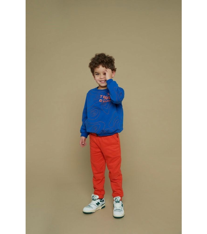 Sturdy truien & vesten 015 Blauw 71600633