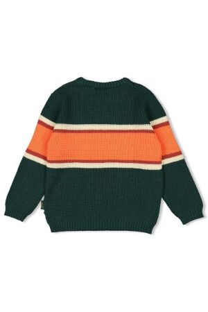 Sturdy truien & vesten 300 Groen 71600634