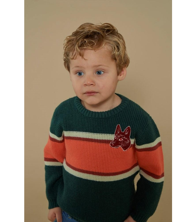 Sturdy truien & vesten 300 Groen 71600634