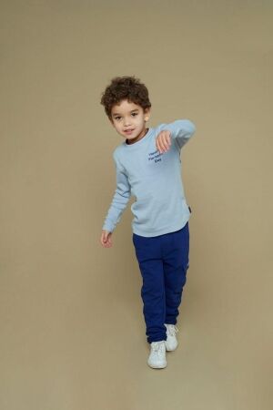 Sturdy shirts 015 Blauw 71600638