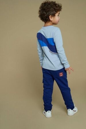 Sturdy shirts 015 Blauw 71600638
