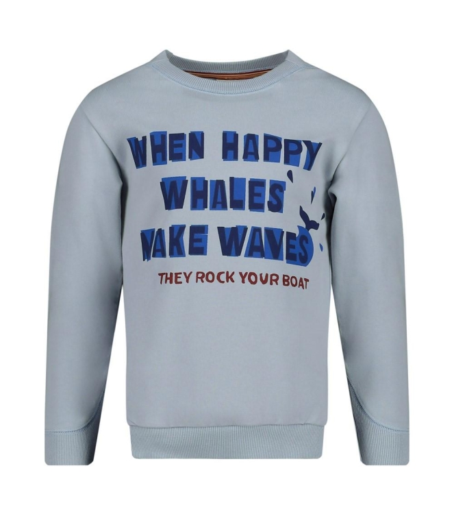 Sturdy truien & vesten 015 Blauw 71600643