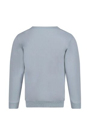 Sturdy truien & vesten 015 Blauw 71600643