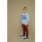 Sturdy truien 015 Blauw 71600643