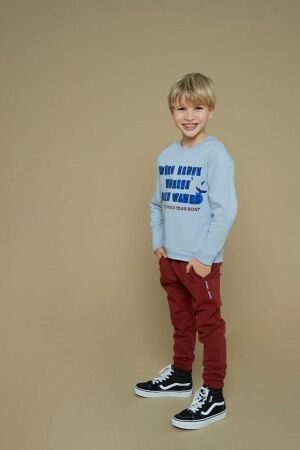 Sturdy truien & vesten 015 Blauw 71600643