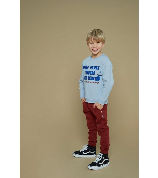 Sturdy truien & vesten 015 Blauw 71600643