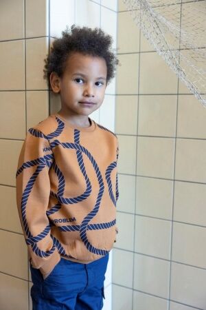 Sturdy truien & vesten 440 Hazelnoot 71600645