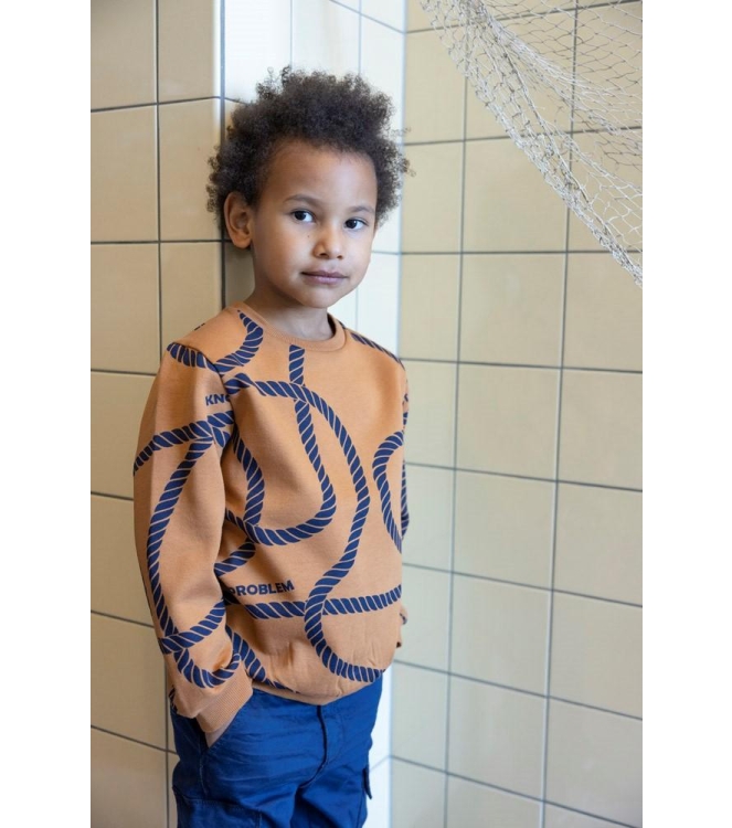 Sturdy truien & vesten 440 Hazelnoot 71600645
