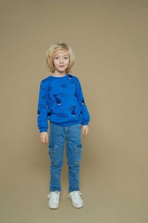 Sturdy truien & vesten 035 Aqua 71600646