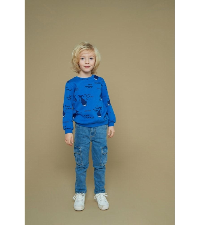 Sturdy truien & vesten 035 Aqua 71600646