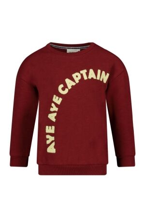 Sturdy Sweater - Waves and Whales 130 Bordeaux