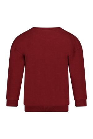 Sturdy truien & vesten 130 Bordeaux 71600647