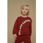 Sturdy truien 130 Bordeaux 71600647