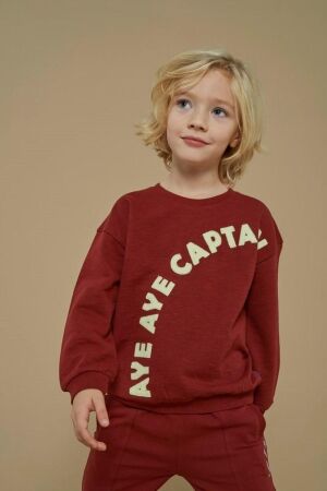 Sturdy truien & vesten 130 Bordeaux 71600647