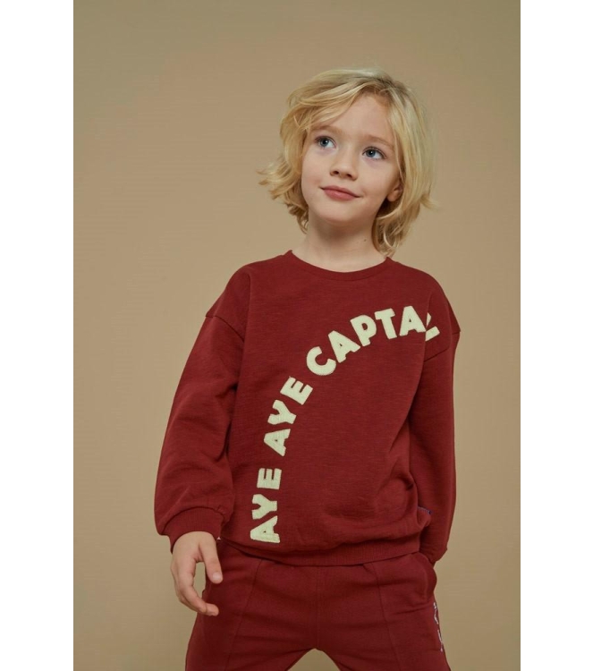 Sturdy truien & vesten 130 Bordeaux 71600647