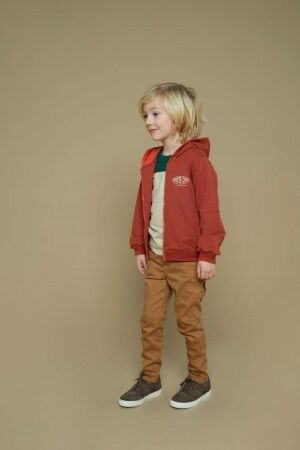 Sturdy truien & vesten 420 Roest 71800050