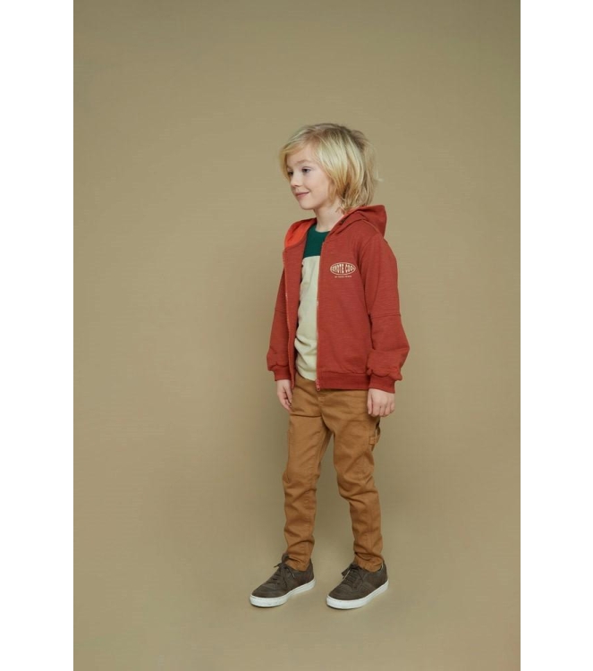 Sturdy truien & vesten 420 Roest 71800050
