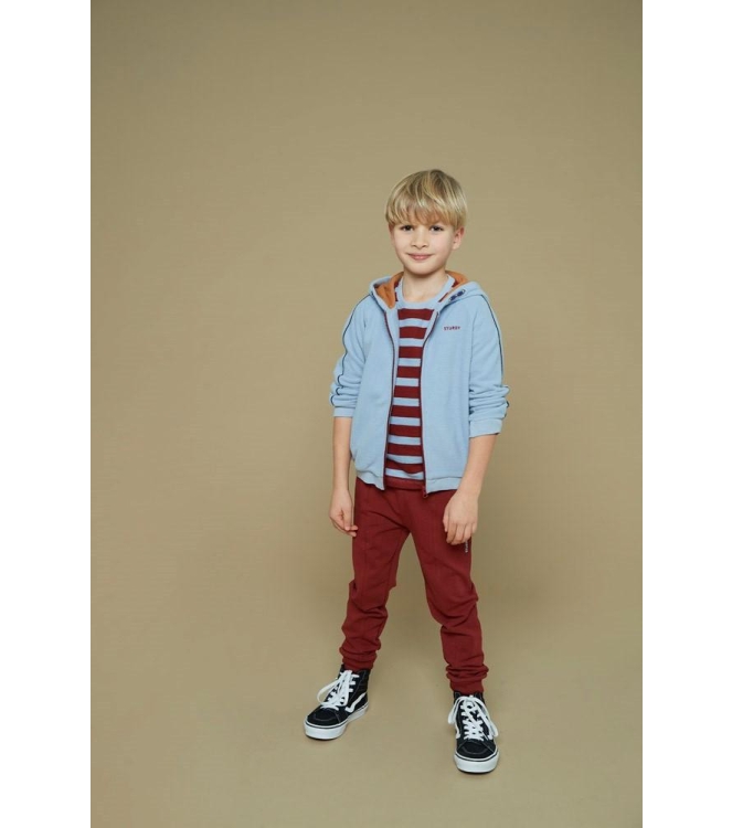 Sturdy truien & vesten 015 Blauw 71800051