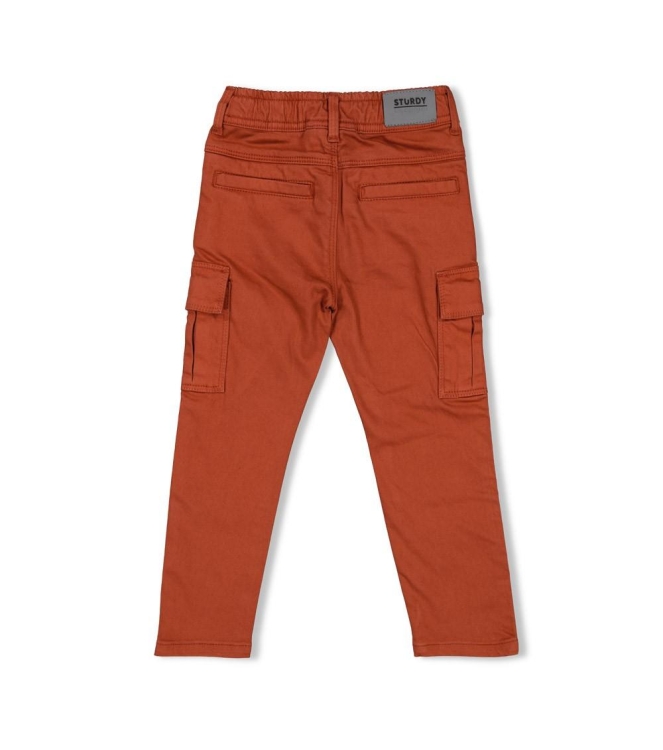 Sturdy broeken 300 Groen 72200242