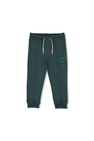 Sturdy Broek - Chasing Trails 080 Petrol
