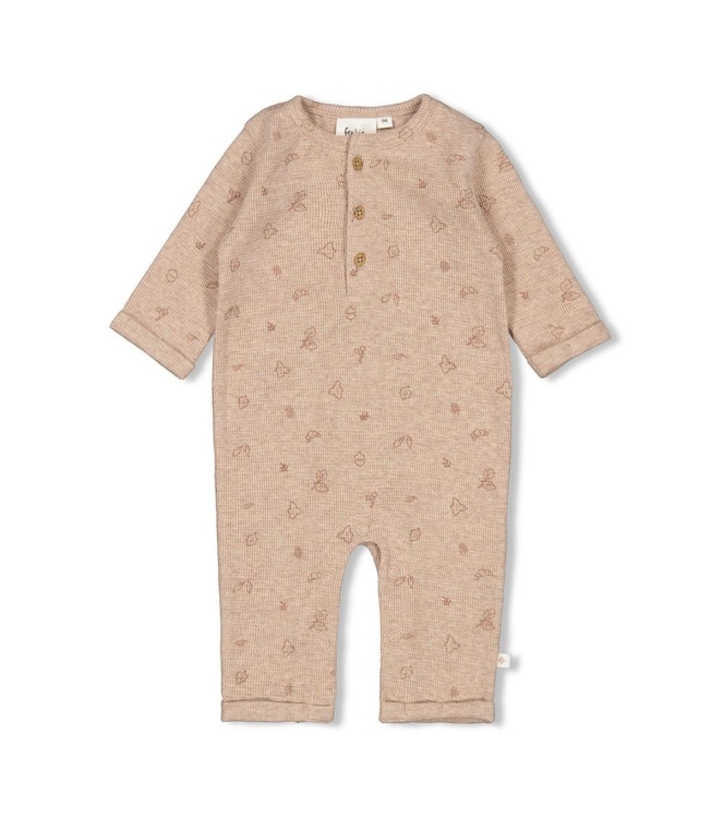 Feetje boxpakjes & rompers 445 Hazelnoot melange 50800122