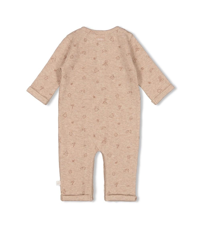 Feetje boxpakjes & rompers 445 Hazelnoot melange 50800122