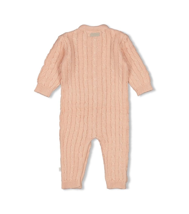 Feetje boxpakjes & rompers 150 Roze 50800125