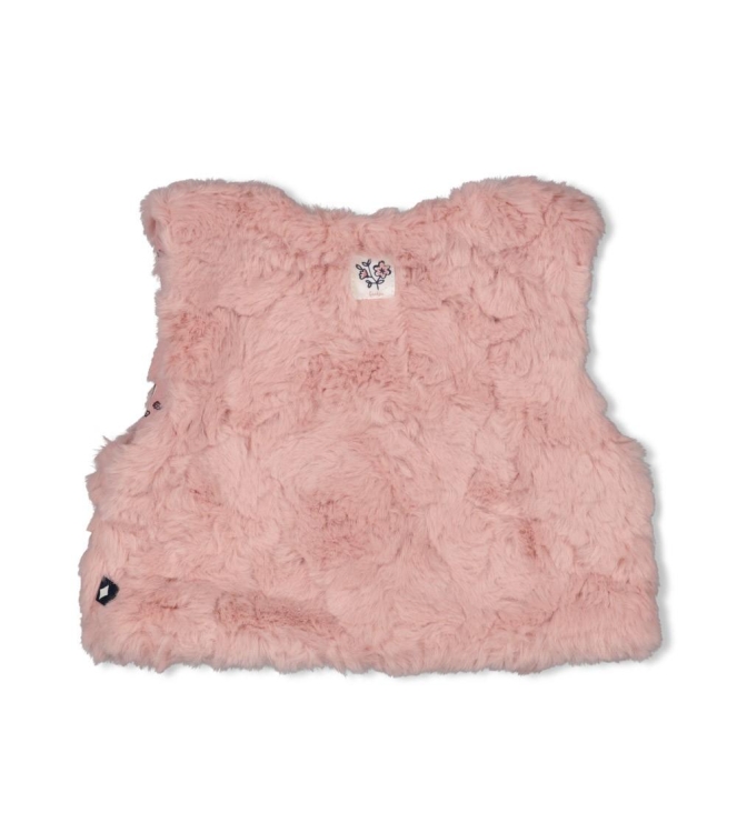 Feetje blazers & gilets 150 Roze 51200039