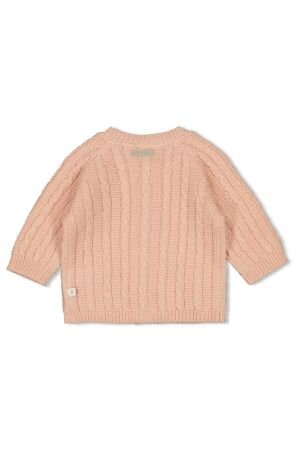 Feetje truien & vesten 150 Roze 51300539