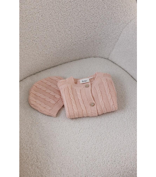 Feetje truien & vesten 150 Roze 51300539