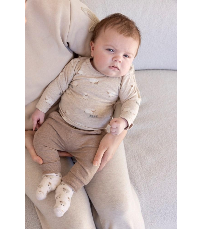 Feetje shirts 730 Taupe melange 51602565