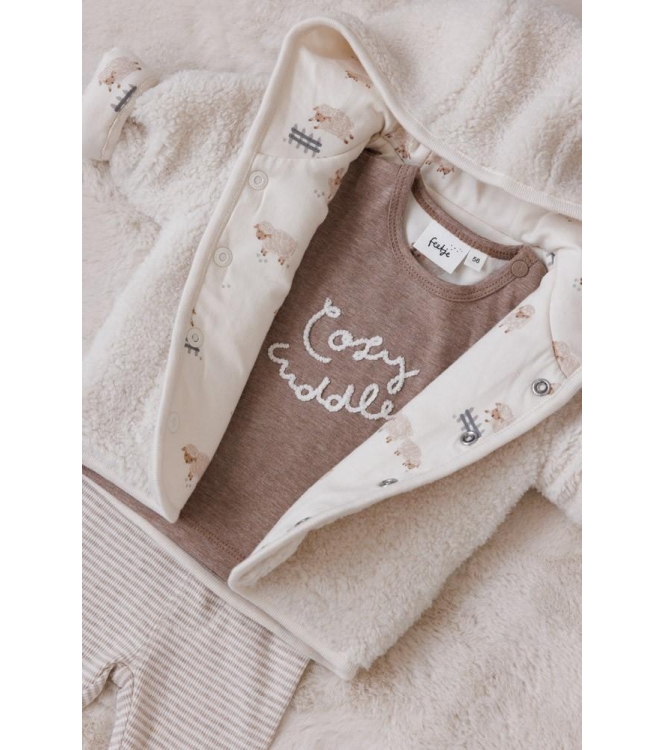 Feetje shirts 415 Bruin melange 51602566