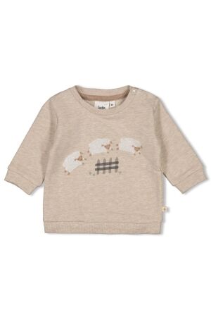 Feetje Sweater - Sleepy Sheepy 730 Taupe melange