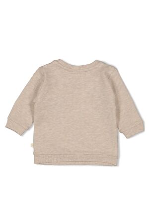 Feetje truien & vesten 730 Taupe melange 51602569