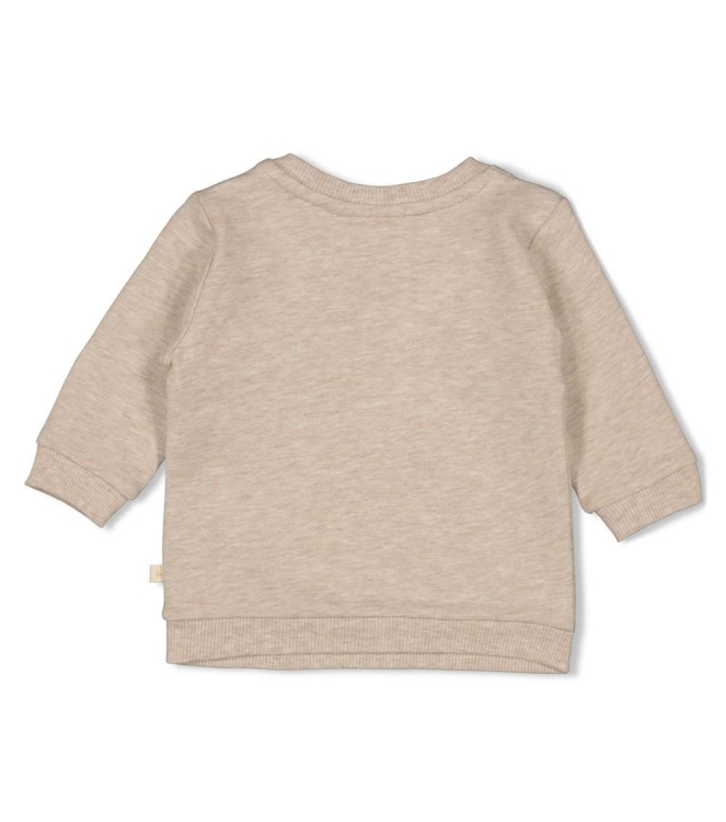 Feetje truien & vesten 730 Taupe melange 51602569