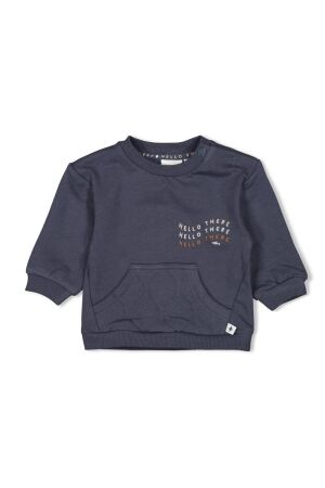 Feetje truien & vesten 072 Blauwgrijs 51602589