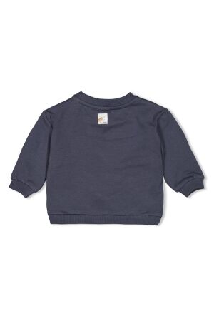 Feetje truien & vesten 072 Blauwgrijs 51602589