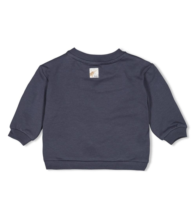 Feetje truien & vesten 072 Blauwgrijs 51602589