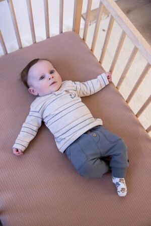 Feetje shirts 730 Taupe melange 51602604
