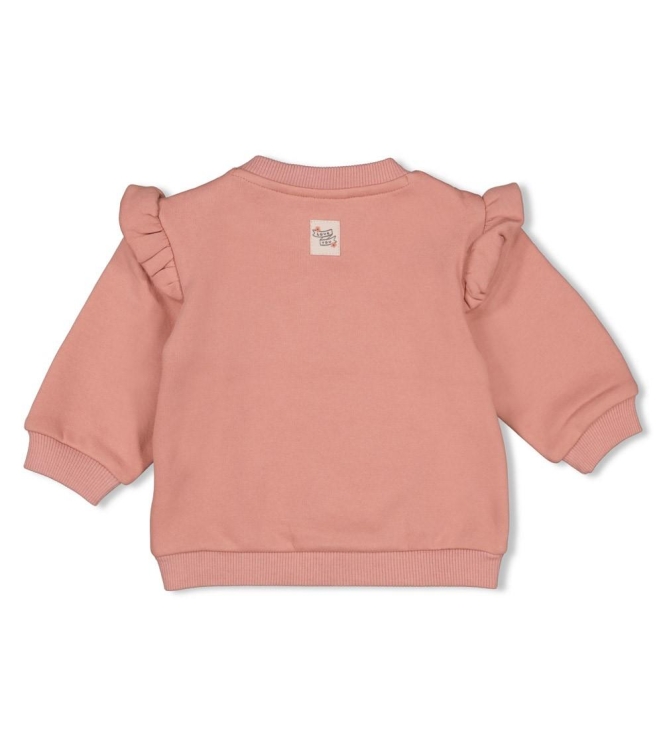 Feetje truien & vesten 285 Mauve 51602610