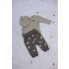 Feetje shirts 300 Groen 51602615