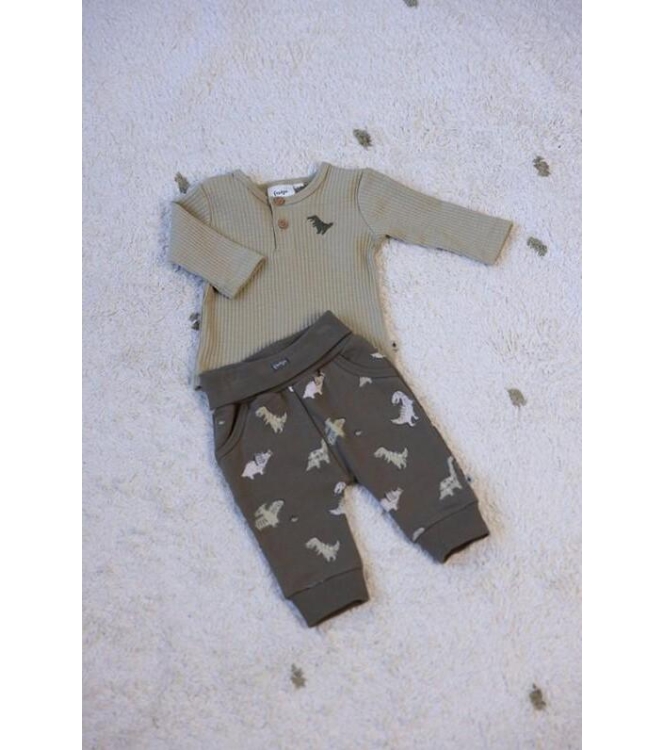 Feetje shirts 300 Groen 51602615