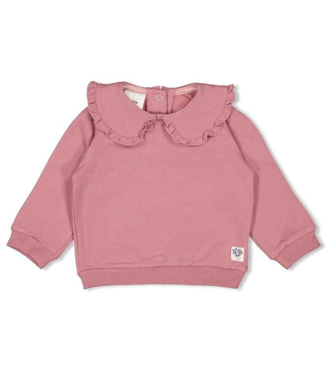 Feetje truien & vesten 285 Mauve 51602625