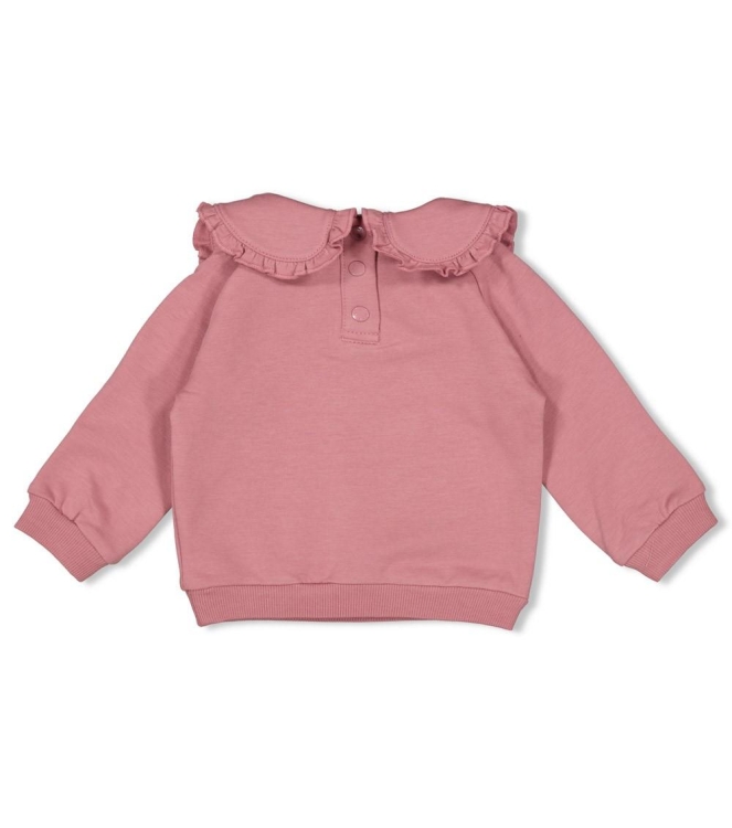 Feetje truien & vesten 285 Mauve 51602625