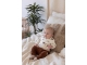 Feetje truien & vesten 600 Offwhite 51602626