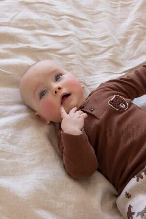 Feetje shirts 400 Bruin 51602630
