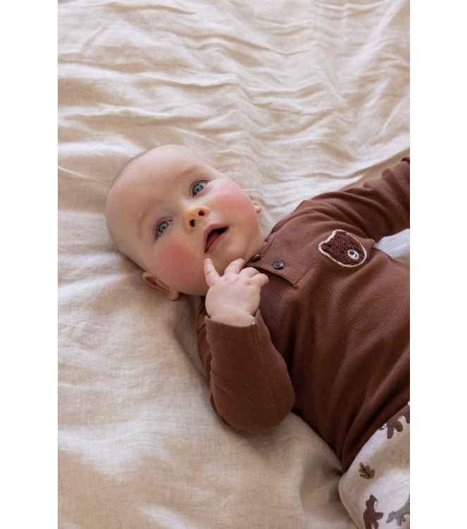 Feetje shirts 400 Bruin 51602630