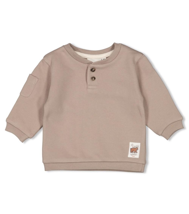 Feetje truien & vesten 650 Grijs 51602632