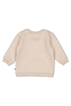 Feetje truien & vesten 730 Taupe melange 51602633