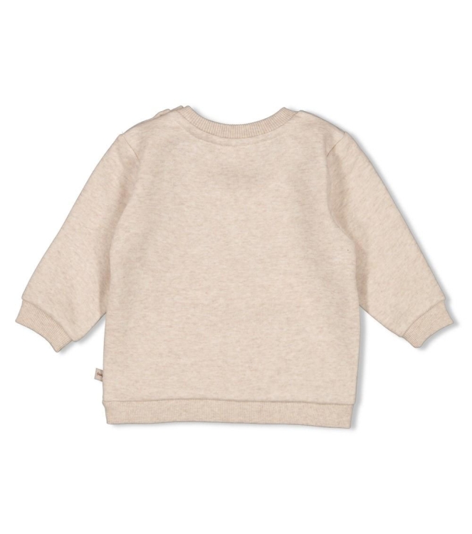 Feetje truien & vesten 730 Taupe melange 51602633